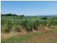 Garradunga QLD 4860
