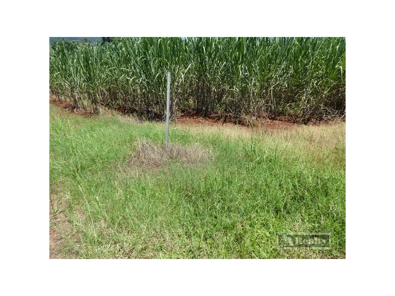 Lot 6 -145 Williamson Road, Garradunga QLD 4860