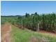 Lot 6 -145 Williamson Road, Garradunga QLD 4860