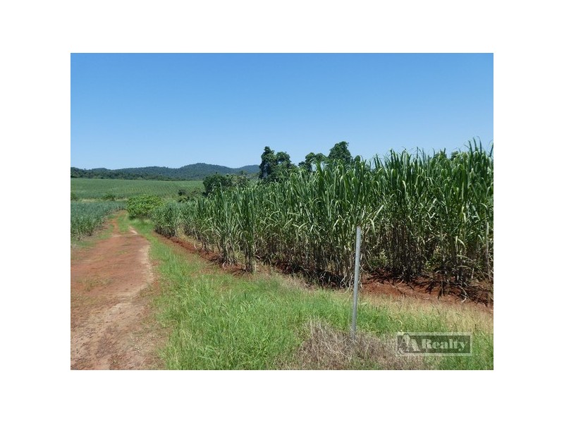 Lot 6 -145 Williamson Road, Garradunga QLD 4860