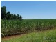 Lot 6 -145 Williamson Road, Garradunga QLD 4860