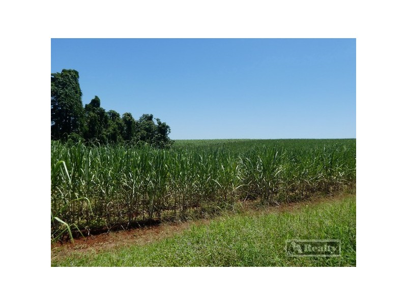Lot 6 -145 Williamson Road, Garradunga QLD 4860