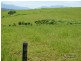 Lot 6 -145 Williamson Road, Garradunga QLD 4860