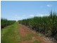 Lot 6 -145 Williamson Road, Garradunga QLD 4860