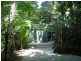 Daintree QLD 4873