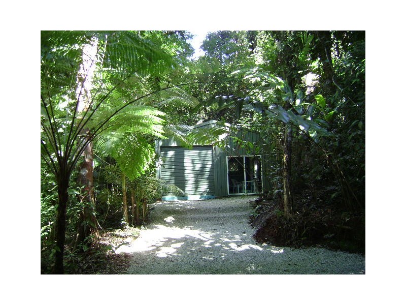 Daintree QLD 4873