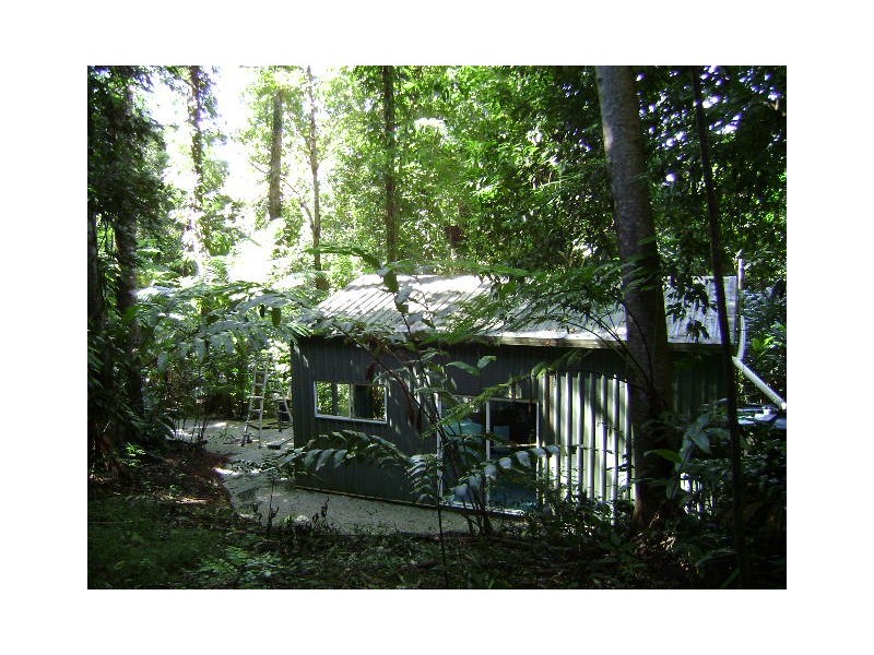 Daintree QLD 4873