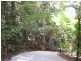 Daintree QLD 4873