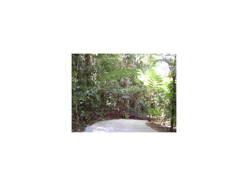 Daintree QLD 4873
