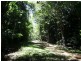 Daintree QLD 4873