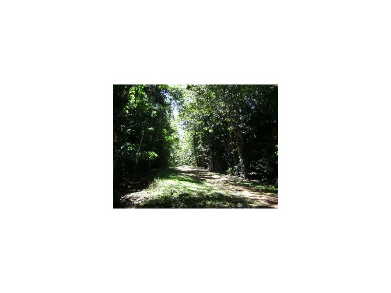 Daintree QLD 4873