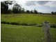 Mourilyan QLD 4858