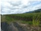 Japoonvale QLD 4856