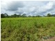 Japoonvale QLD 4856