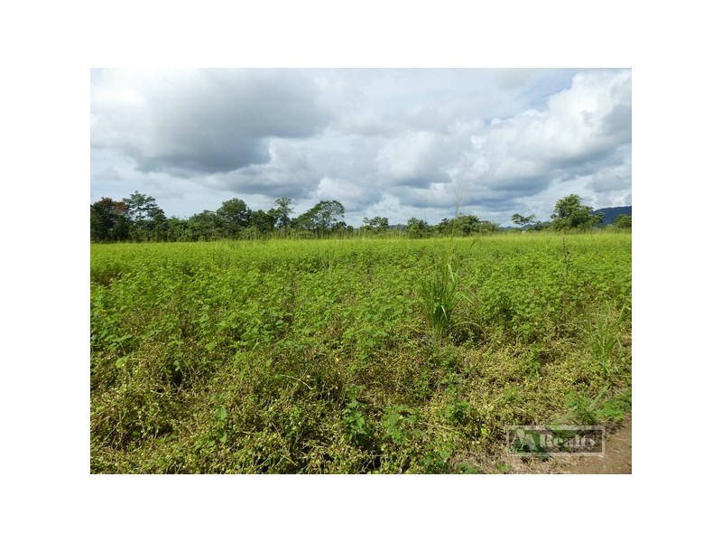 Japoonvale QLD 4856