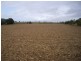 Cowley QLD 4871