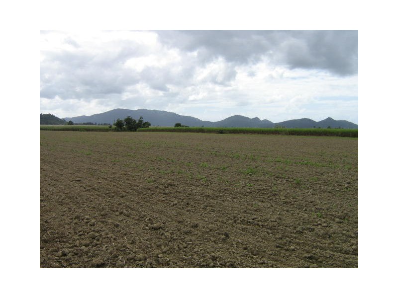 Babinda QLD 4861