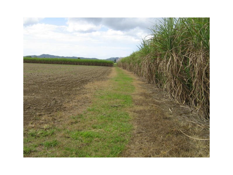 Babinda QLD 4861