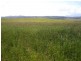 Innisfail QLD 4860