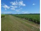 Mourilyan QLD 4858