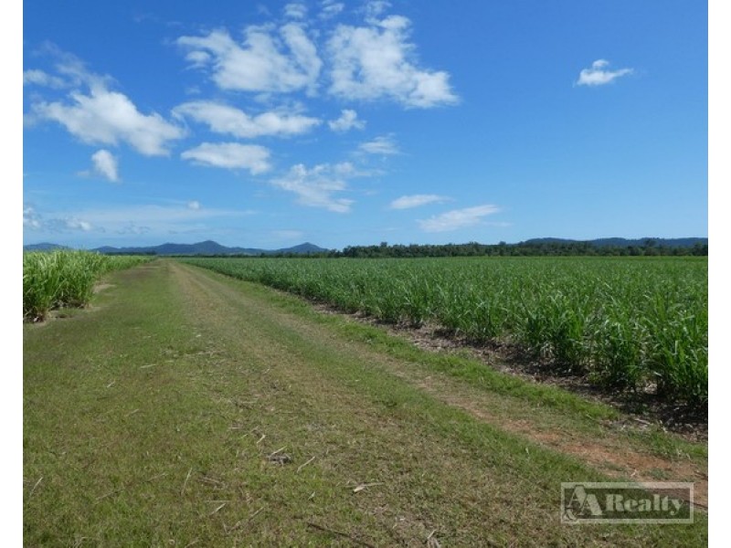 Mourilyan QLD 4858