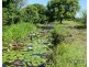 Mourilyan QLD 4858