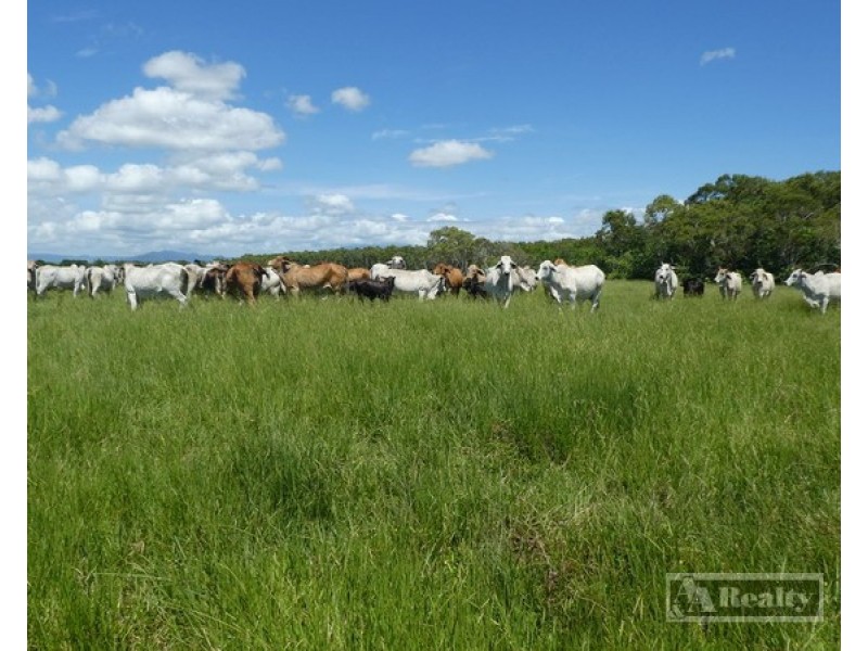 Mourilyan QLD 4858