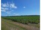 Mourilyan QLD 4858
