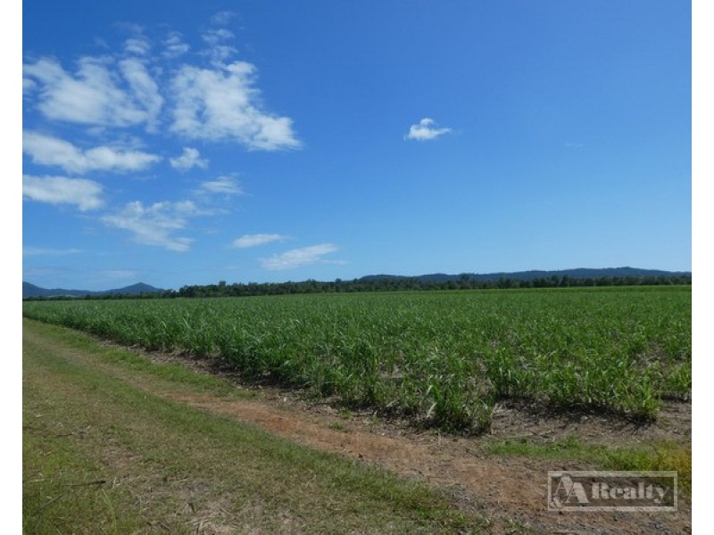 Mourilyan QLD 4858