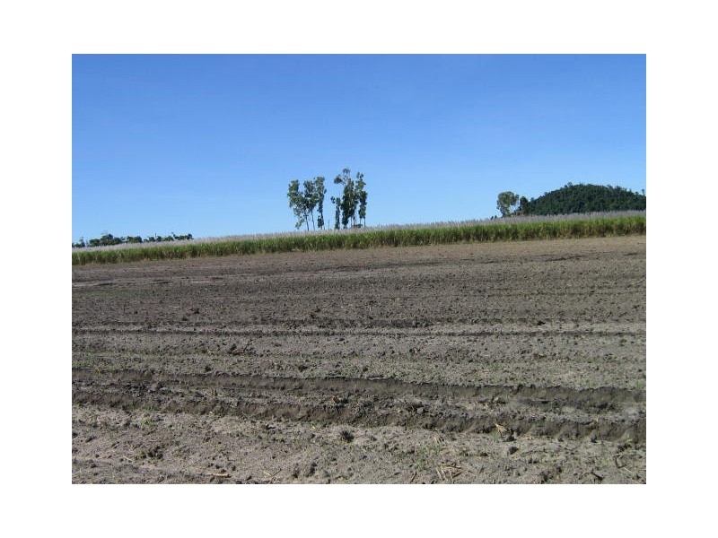 Kurrimine Beach QLD 4871
