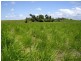 Innisfail QLD 4860