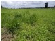Innisfail QLD 4860