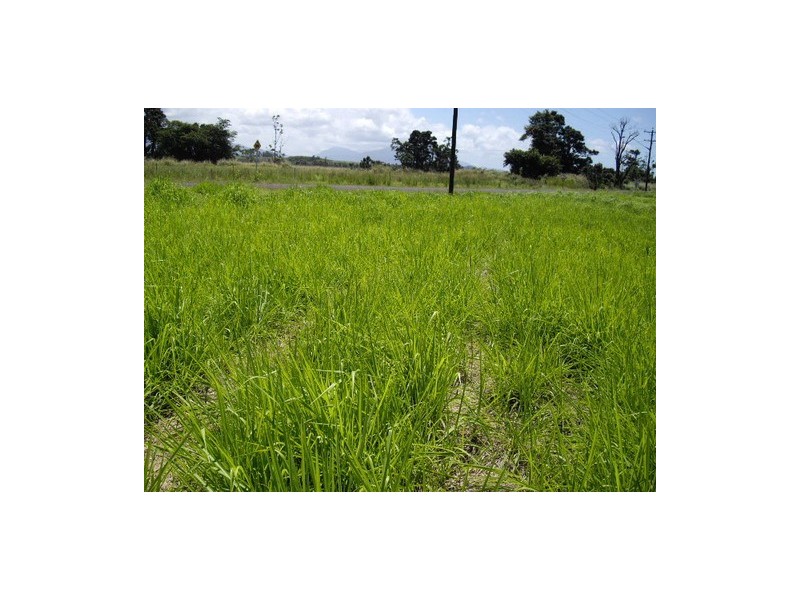 Innisfail QLD 4860