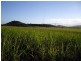 Cowley QLD 4871