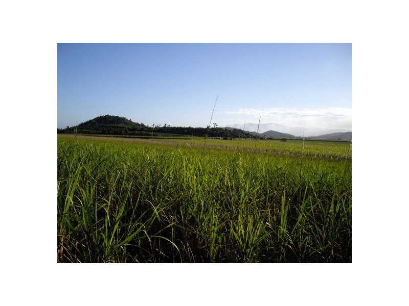 Cowley QLD 4871