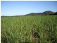 Cowley QLD 4871