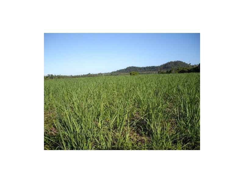 Cowley QLD 4871