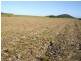 Cowley QLD 4871