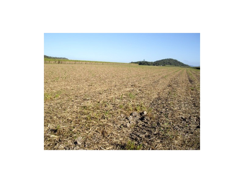 Cowley QLD 4871