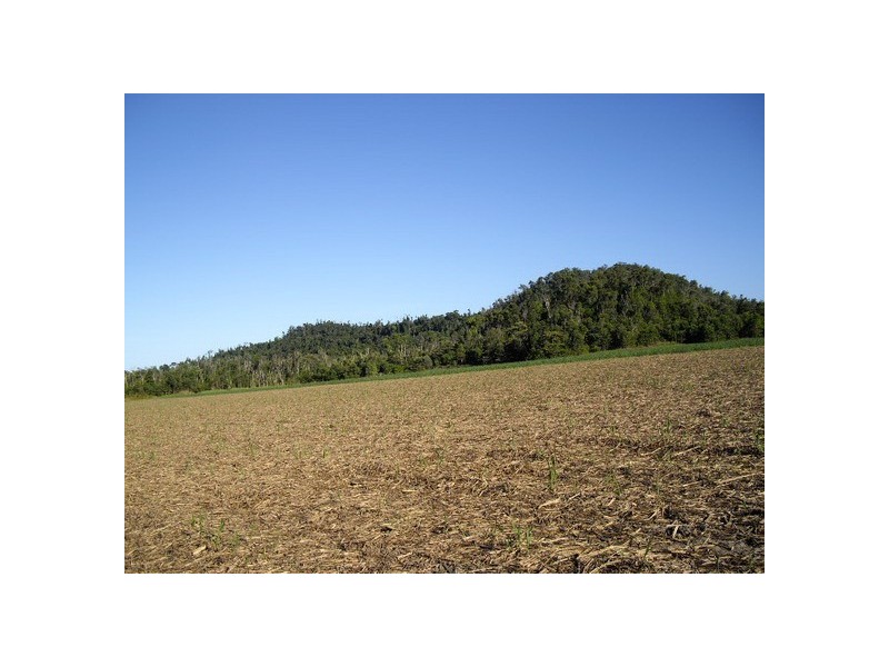 Cowley QLD 4871