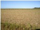 Cowley QLD 4871