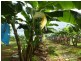 Innisfail QLD 4860