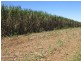 Garradunga QLD 4860