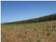 Garradunga QLD 4860