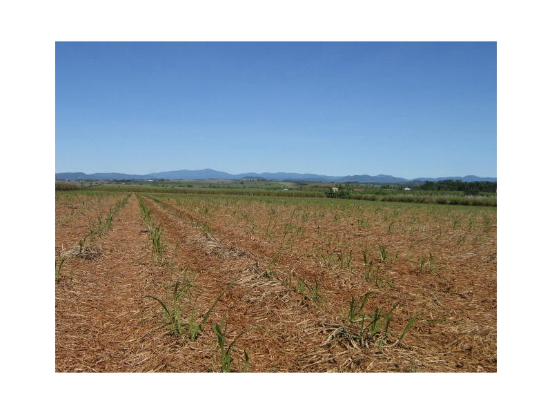 Garradunga QLD 4860