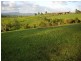 Innisfail QLD 4860