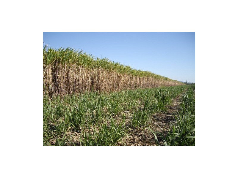 Kurrimine Beach QLD 4871