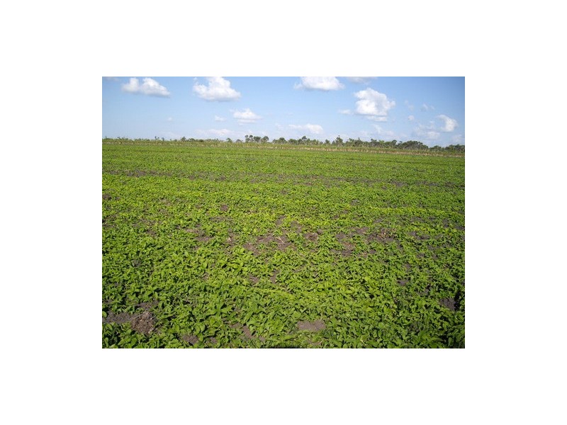 Kurrimine Beach QLD 4871