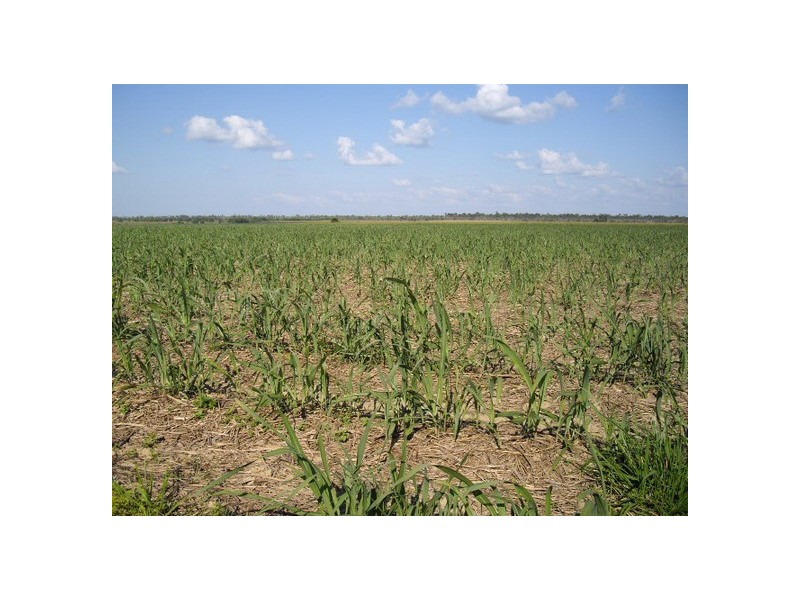 Kurrimine Beach QLD 4871