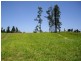 Innisfail QLD 4860